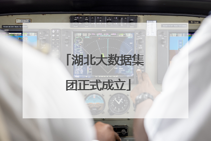 湖北大数据集团正式成立