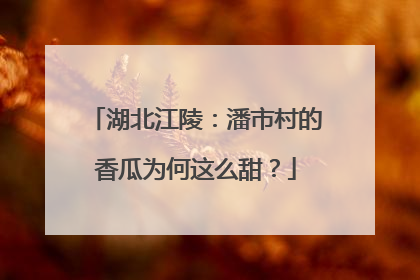 湖北江陵：潘市村的香瓜为何这么甜？