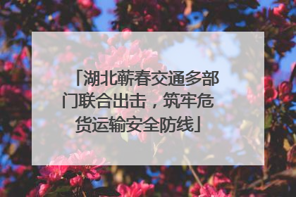 湖北蕲春交通多部门联合出击，筑牢危货运输安全防线