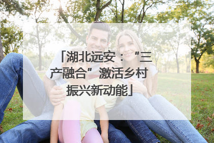 湖北远安：“三产融合”激活乡村振兴新动能