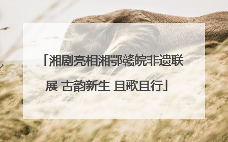 湘剧亮相湘鄂赣皖非遗联展 古韵新生 且歌且行