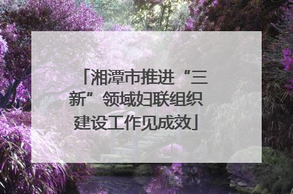湘潭市推进“三新”领域妇联组织建设工作见成效