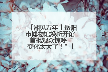湘见万年丨岳阳市博物馆焕新开馆 首批观众惊呼“变化太大了！”