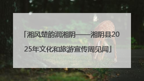 湘风楚韵润湘阴——湘阴县2025年文化和旅游宣传周见闻
