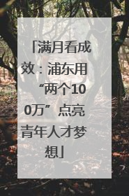 满月看成效：浦东用“两个100万”点亮青年人才梦想