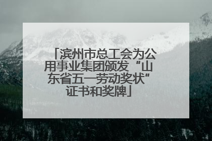 滨州市总工会为公用事业集团颁发“山东省五一劳动奖状”证书和奖牌