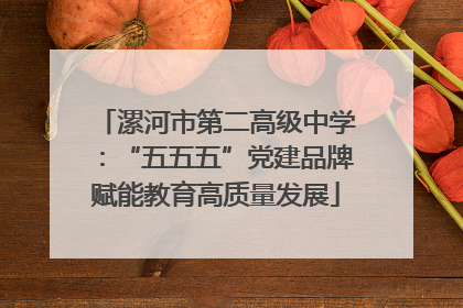 漯河市第二高级中学：“五五五”党建品牌赋能教育高质量发展
