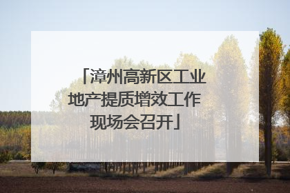 漳州高新区工业地产提质增效工作现场会召开