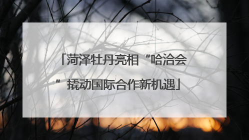 菏泽牡丹亮相“哈洽会”撬动国际合作新机遇