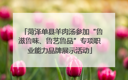 菏泽单县羊肉汤参加“鲁滋鲁味、鲁艺鲁品”专项职业能力品牌展示活动