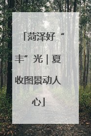 菏泽好“丰”光｜夏收图景动人心