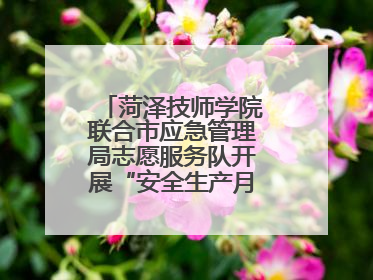 菏泽技师学院联合市应急管理局志愿服务队开展“安全生产月”主题活动