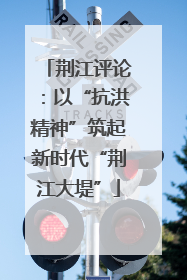 荆江评论：以“抗洪精神”筑起新时代“荆江大堤”