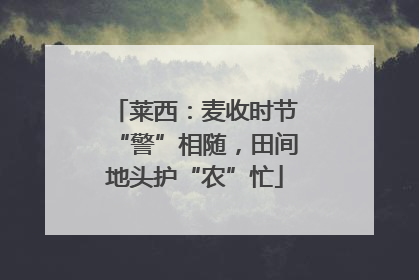 莱西：麦收时节“警”相随，田间地头护“农”忙