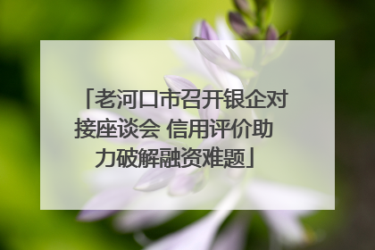 老河口市召开银企对接座谈会 信用评价助力破解融资难题