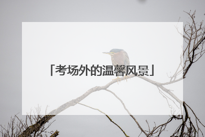 考场外的温馨风景