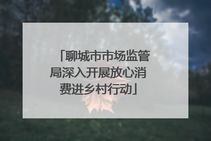 聊城市市场监管局深入开展放心消费进乡村行动