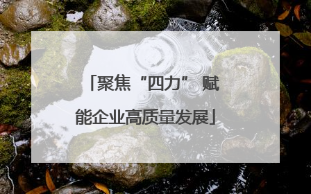 聚焦“四力” 赋能企业高质量发展