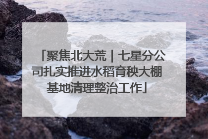 聚焦北大荒｜七星分公司扎实推进水稻育秧大棚基地清理整治工作
