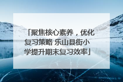聚焦核心素养，优化复习策略 乐山县街小学提升期末复习效率