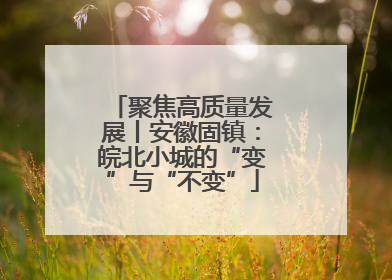 聚焦高质量发展丨安徽固镇：皖北小城的“变”与“不变”