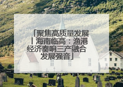 聚焦高质量发展丨海南临高：渔港经济奏响三产融合发展强音