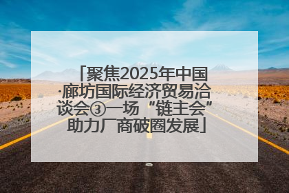 聚焦2025年中国·廊坊国际经济贸易洽谈会③一场“链主会” 助力厂商破圈发展