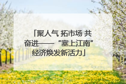 聚人气 拓市场 共奋进——“塞上江南”经济焕发新活力