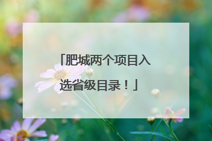 肥城两个项目入选省级目录！
