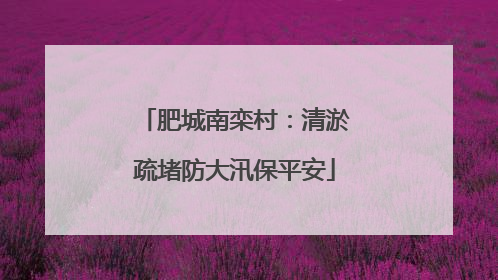 肥城南栾村：清淤疏堵防大汛保平安