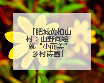 肥城黄柏山村：山野间绘就“小而美”乡村诗画