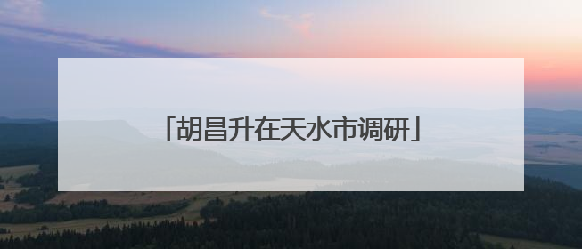 胡昌升在天水市调研