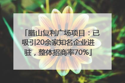 腊山复利广场项目：已吸引20余家知名企业进驻，整体招商率70%