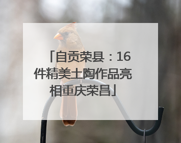 自贡荣县：16件精美土陶作品亮相重庆荣昌