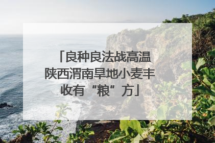 良种良法战高温 陕西渭南旱地小麦丰收有“粮”方