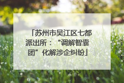 苏州市吴江区七都派出所：“调解智囊团”化解涉企纠纷