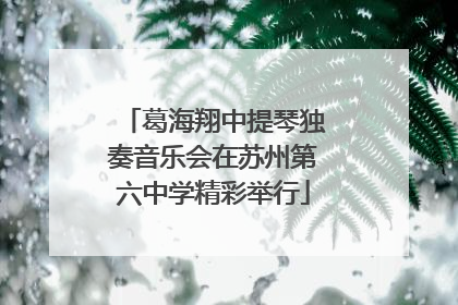 葛海翔中提琴独奏音乐会在苏州第六中学精彩举行