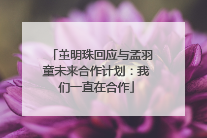 董明珠回应与孟羽童未来合作计划：我们一直在合作