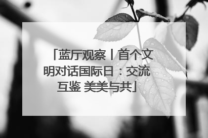 蓝厅观察丨首个文明对话国际日：交流互鉴 美美与共