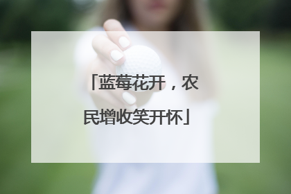 蓝莓花开，农民增收笑开怀