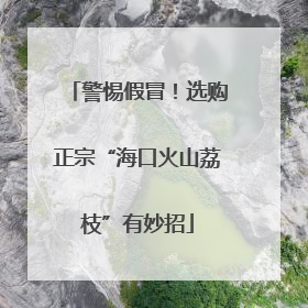 警惕假冒！选购正宗“海口火山荔枝”有妙招