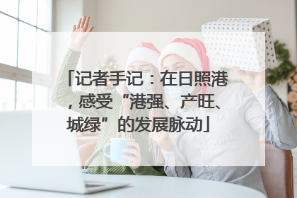 记者手记：在日照港，感受“港强、产旺、城绿”的发展脉动
