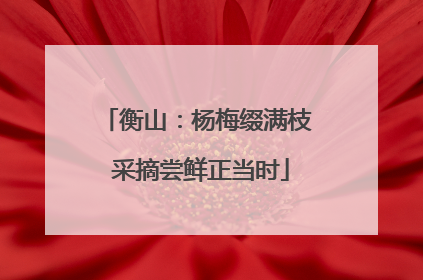 衡山：杨梅缀满枝 采摘尝鲜正当时