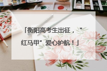 衡阳高考生出征，“红马甲”爱心护航！