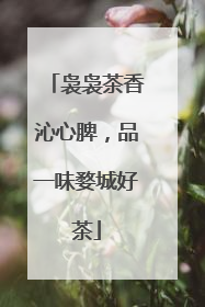 袅袅茶香沁心脾，品一味婺城好茶