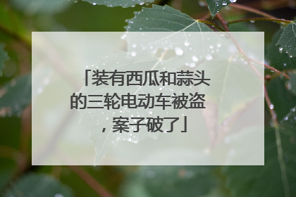 装有西瓜和蒜头的三轮电动车被盗，案子破了