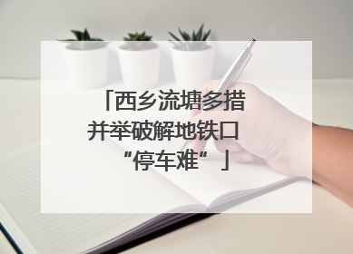 西乡流塘多措并举破解地铁口“停车难”