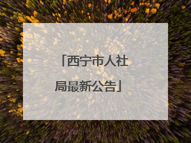 西宁市人社局最新公告
