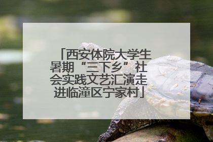 西安体院大学生暑期“三下乡”社会实践文艺汇演走进临潼区宁家村