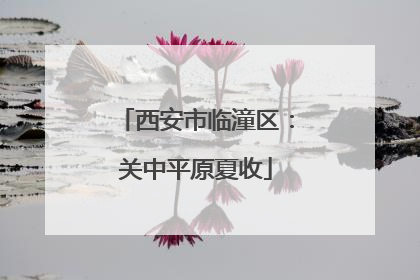 西安市临潼区：关中平原夏收